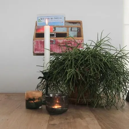 빌라 In De Duinpan Egmond 에그몬단덴 후에프